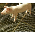 Heady Duty Rectangular Opening Crimped Wire Mesh for Pig Feelding